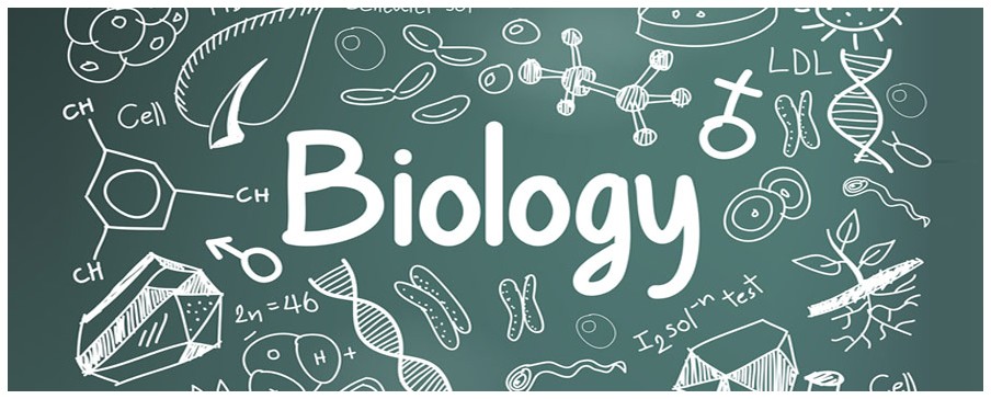 Biology