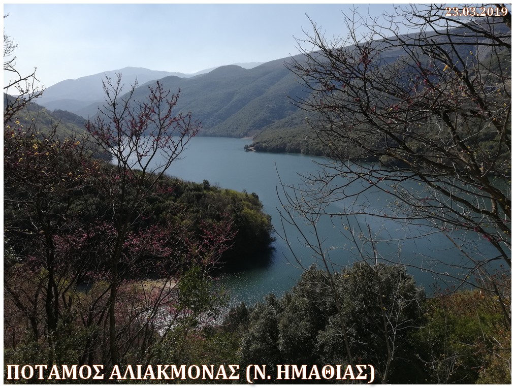 Potamos Aliakmonas 23 03 2019 NGX