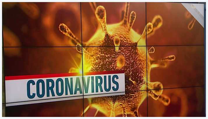 corona virus